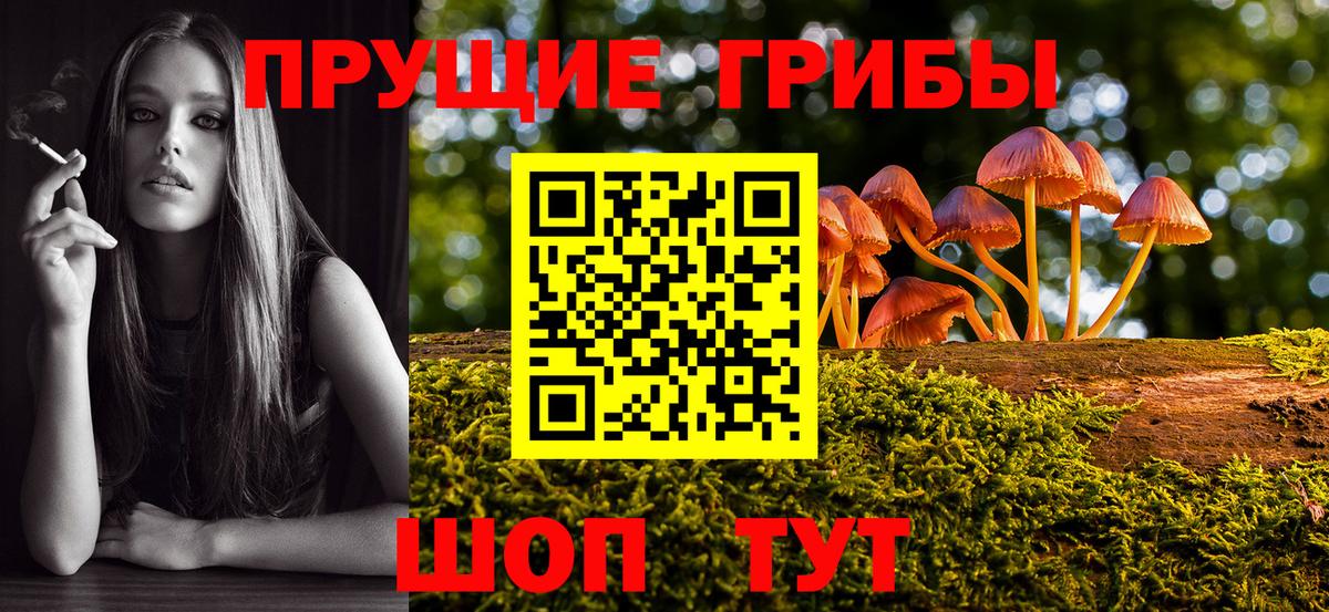 Вологда  Галлюциногенные грибы Psilocybe  где можно купить наркотик  Вход с VPN 