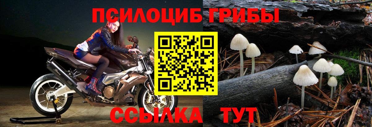 Псилоцибиновые грибы мухоморы Вологда